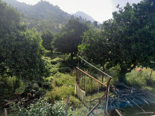 تصویر اقامتگاه