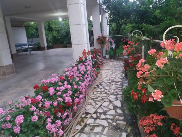 تصویر اقامتگاه