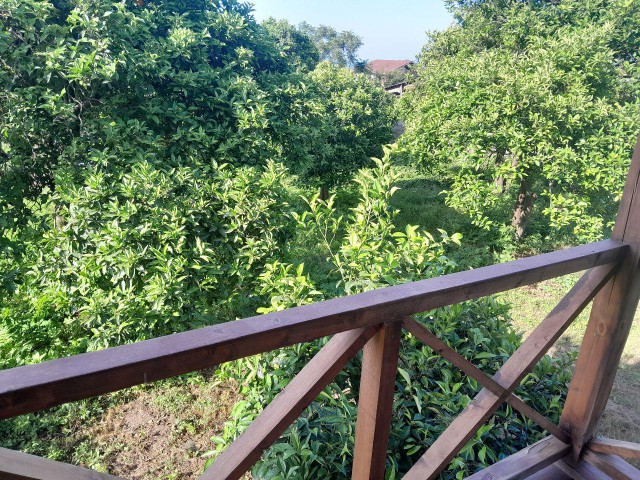تصویر اقامتگاه