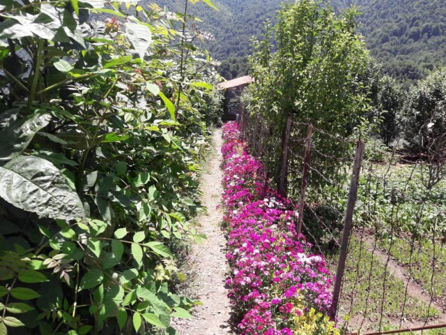 تصویر اقامتگاه